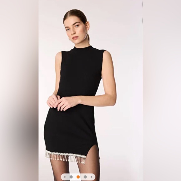 Zara Black Mini Dress with Fringe Accent - Picture 5 of 6